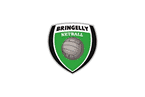 logo-bringelly.png