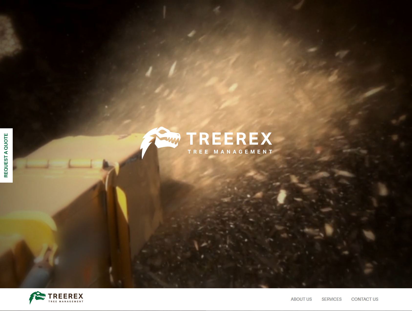 The old one-page TreeRex website on Wix