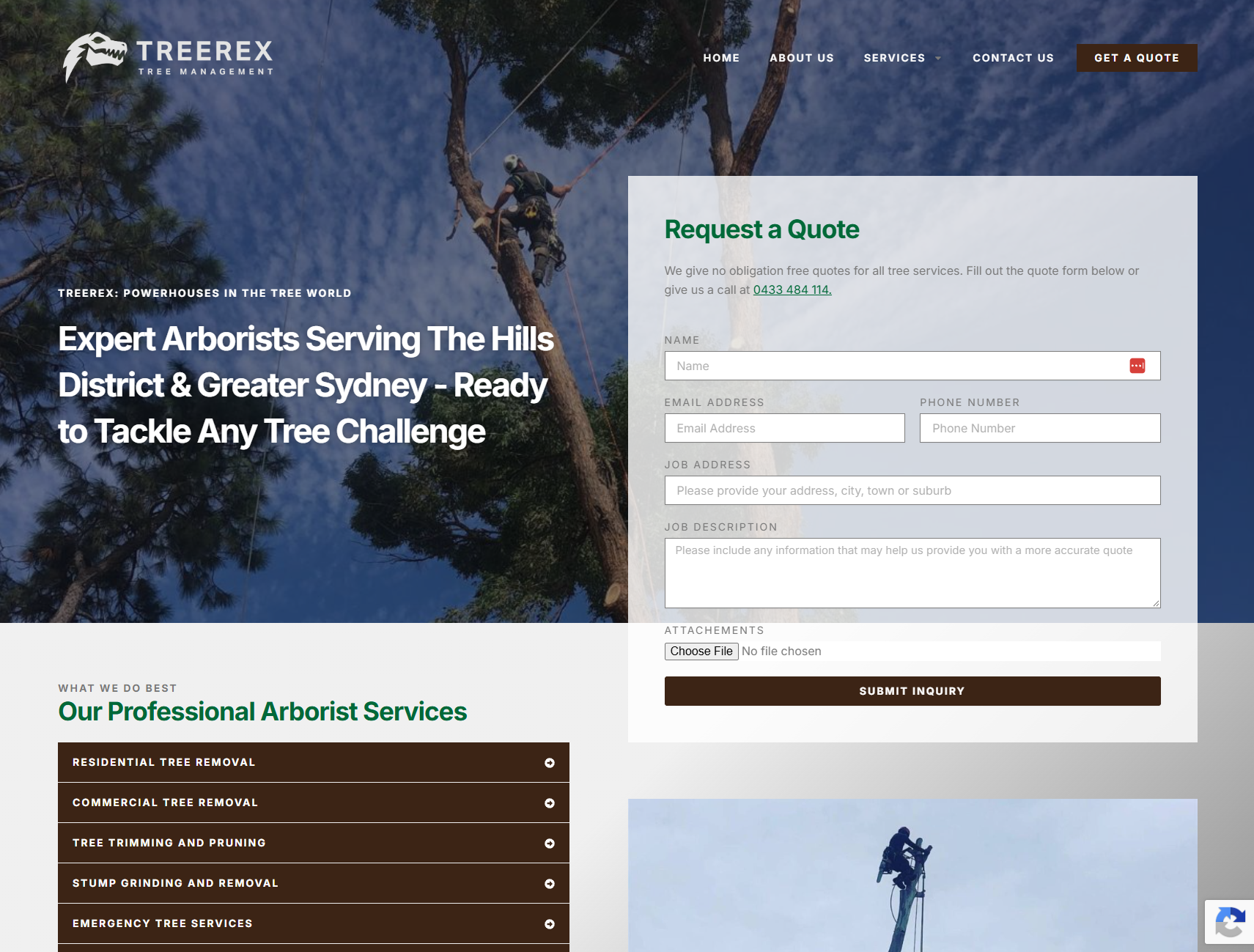 The new TreeRex home page built by JS Website Design